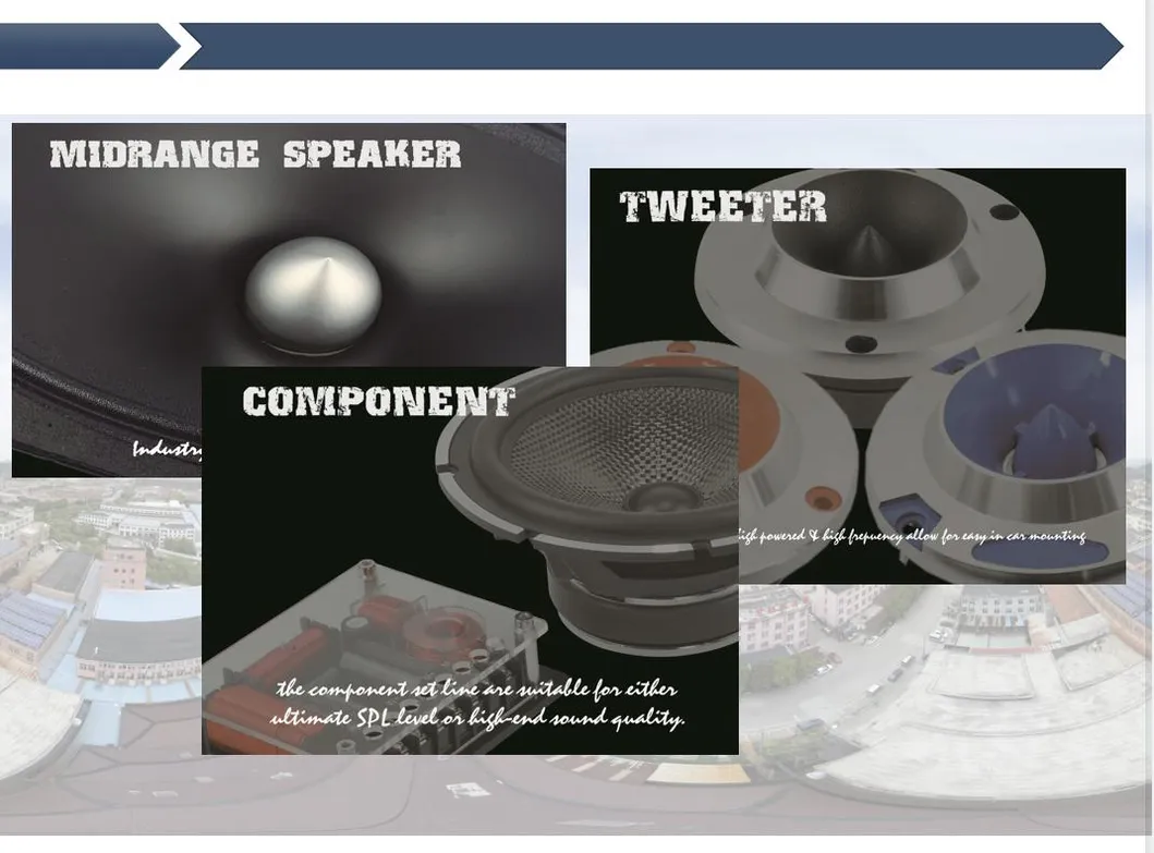 300 W 6inch*9 Inch PRO Audio Midrange Car Speaker