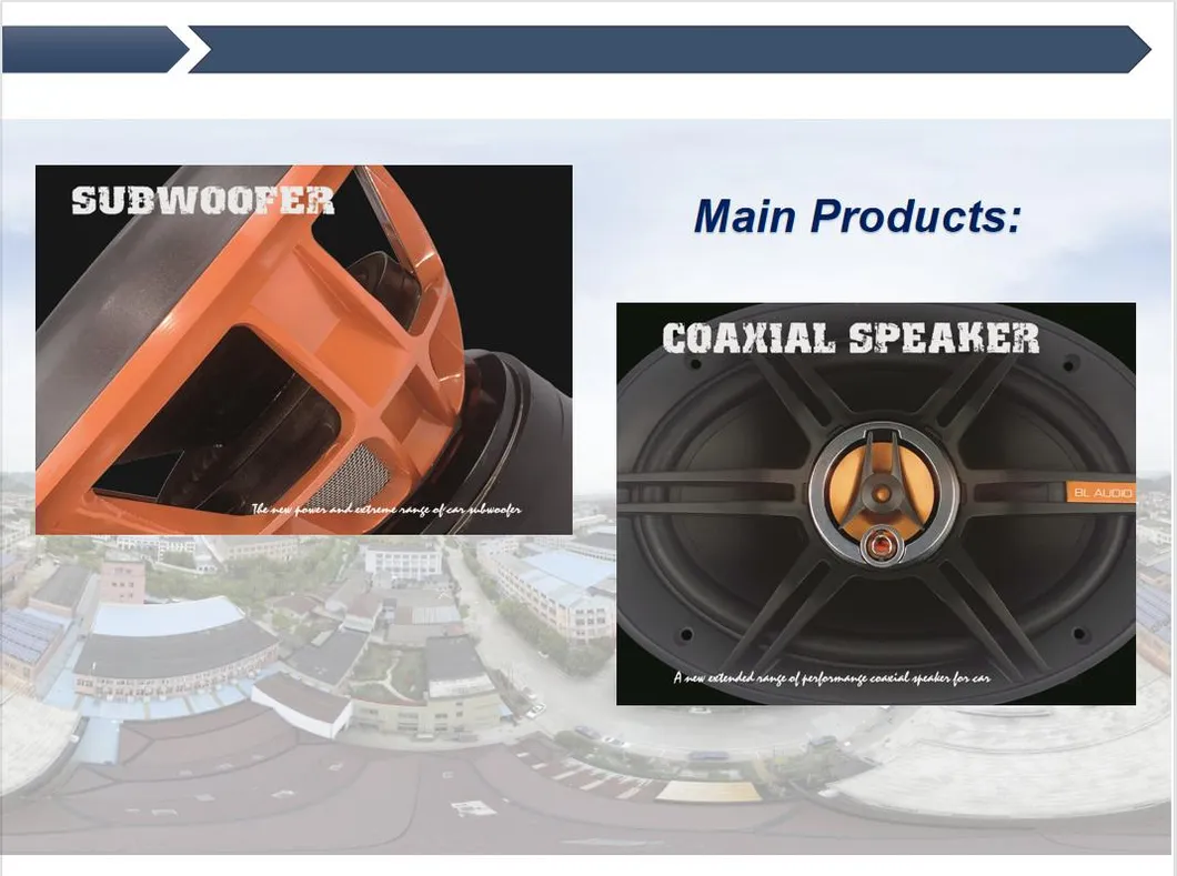 300 W 6inch*9 Inch PRO Audio Midrange Car Speaker