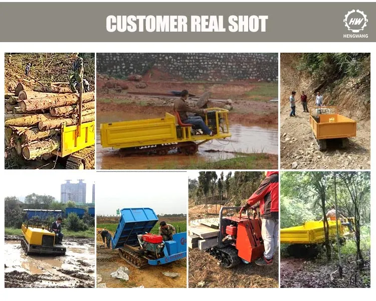 3ton Diesel Farm Construction Loading Dumper Truck