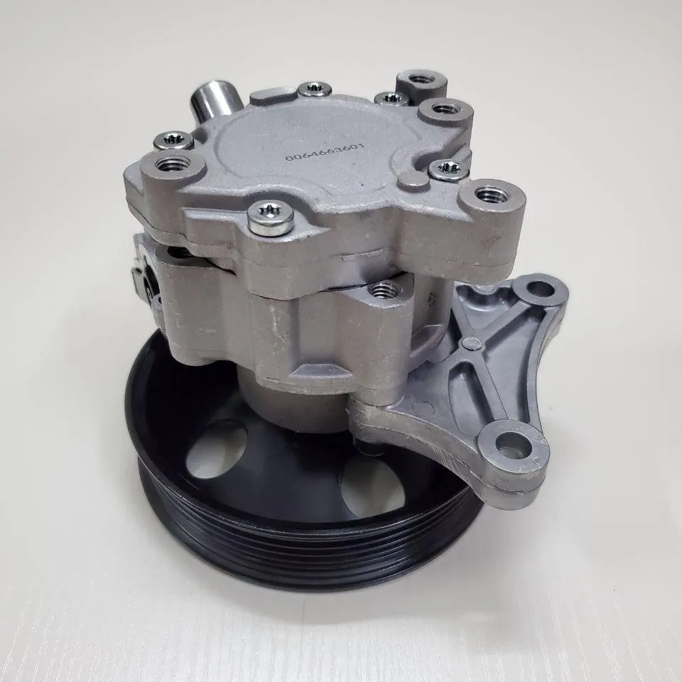 Auto Parts Power Steering Pump 6466360180 /0064663601 for Mercedes-Benz W204