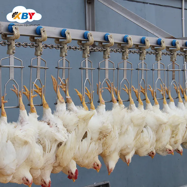 Automatic Chicken Plucker Machine for Poultry Processing Plant