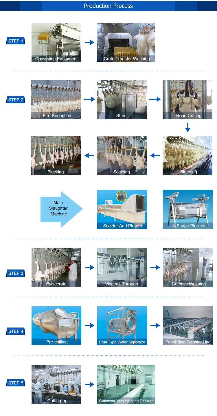 Automatic Chicken Plucker Machine for Poultry Processing Plant