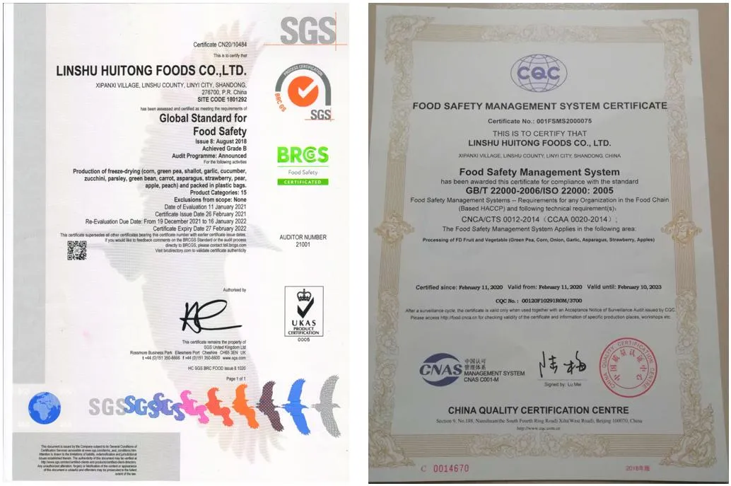 Brc ISO22000 Kosher Certified Asian Freeze Dried Food in Bulk Freeze Dry Carrot Cube