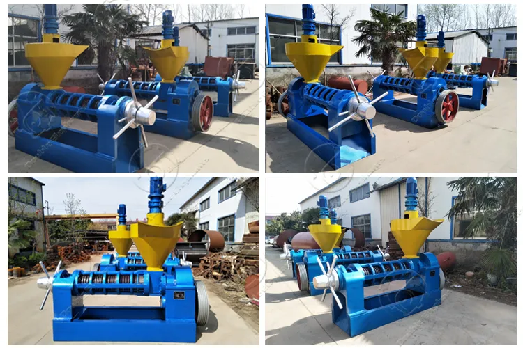 Cacao Coconut Oil Expeller Press Machine Line Price