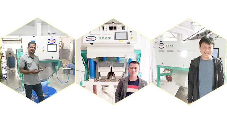 CCD White Rice Color Sorter Machine Rice Sorting Rice Selector