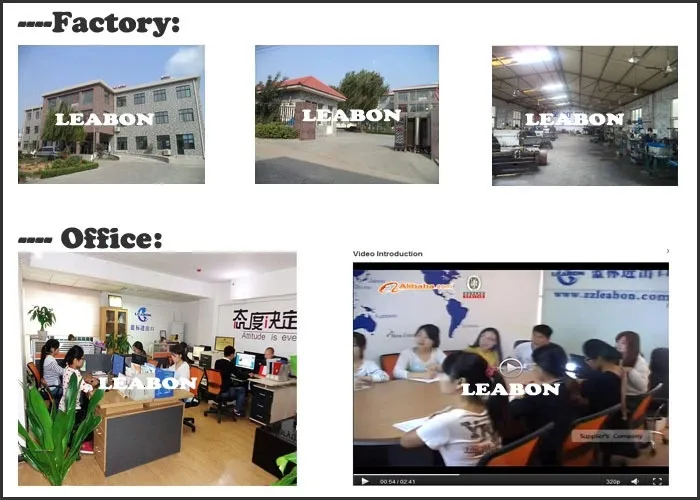 CE Approved Automatic Peanut Sesame Sunflower Coconut Oil Press Machine