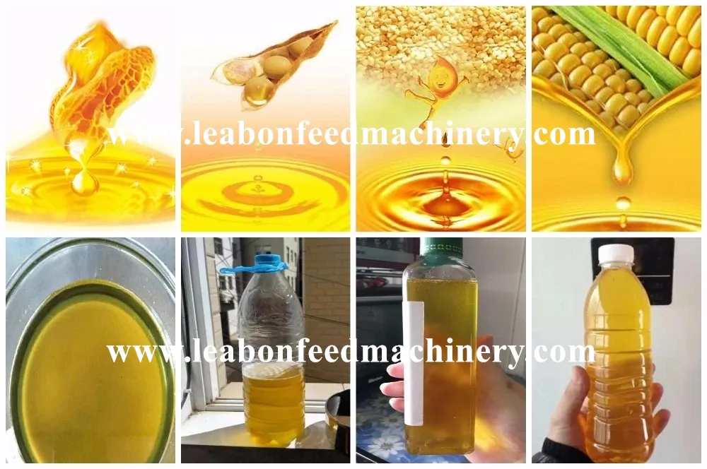CE Approved Automatic Peanut Sesame Sunflower Coconut Oil Press Machine