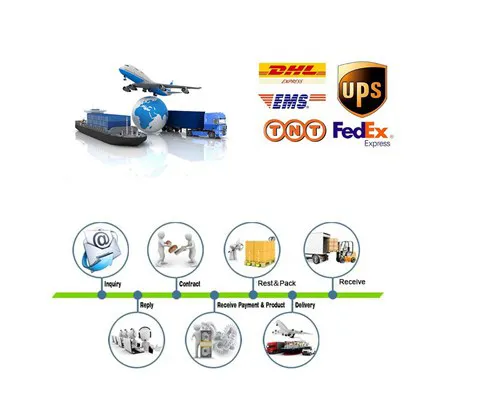Ce Approved Clinical Full Digital Portable Diagnositic Portable Laptop Ultrasound Scanner Machine (YJ-U318)