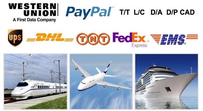 Cheap Price 99.99% Pure Copper Cathode / Cathode Copper for Sale