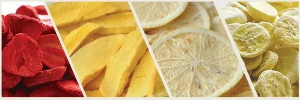 China Freeze Dried Fd Carrot Dice Vegetables