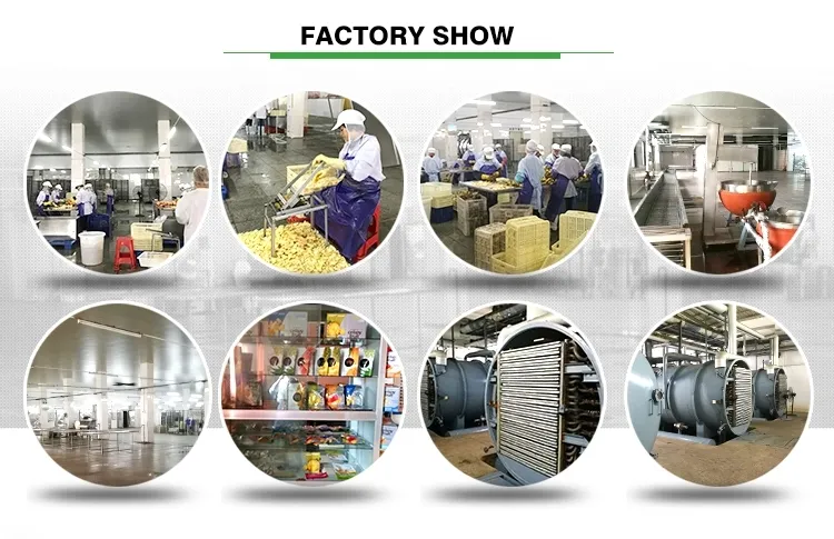 China Freeze Dried Fd Carrot Dice Vegetables