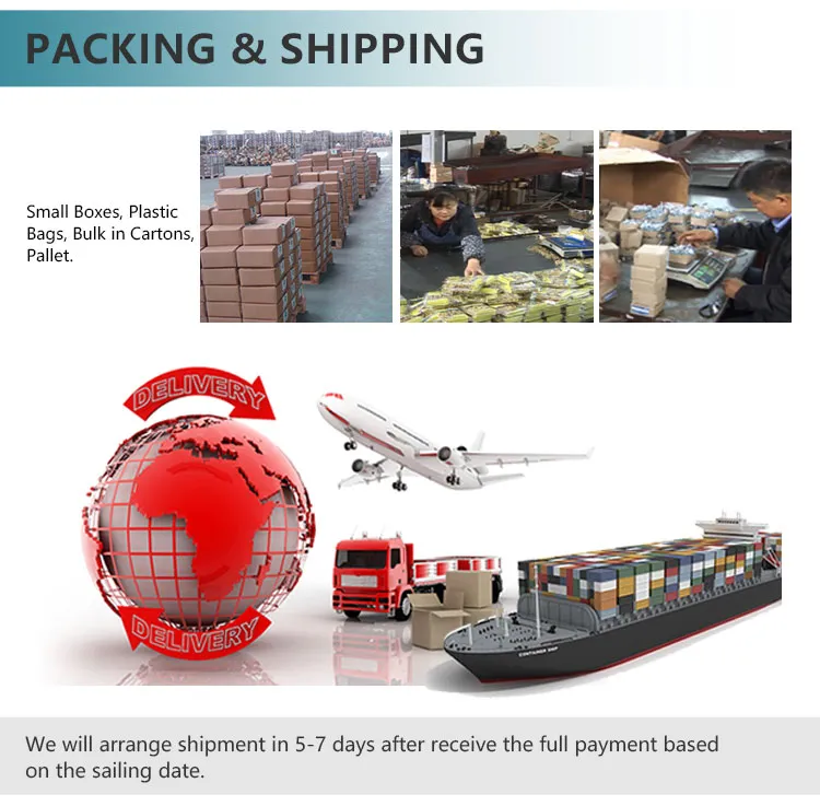 China Manufacturer High Quality JIS B 1168 Drop Forged Lifting Eye Bolt