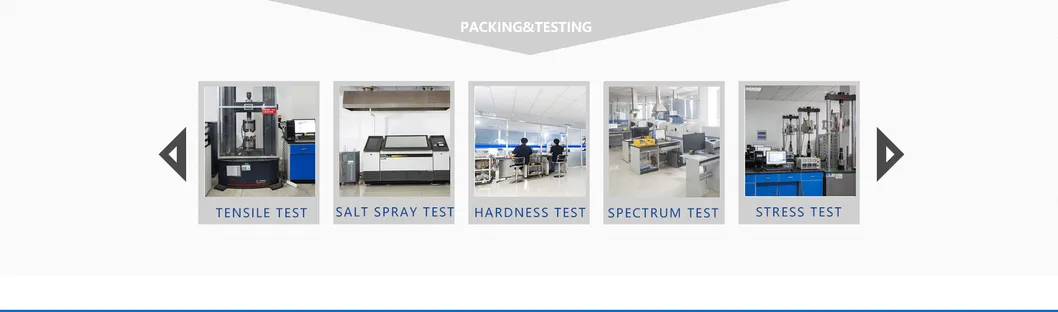 Class10.9 Torsional Shear Type High Strength Railroad Railway Track Highway Bridge Boiler Factory High-Rise Buildings Hoisting Machinery Steel Structure Bolts