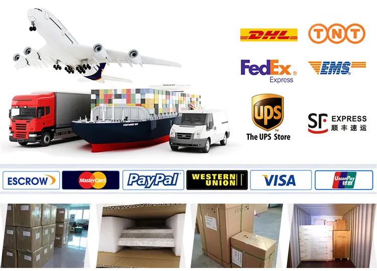 Custom High Quality Endoscope Camera Imaging System Ent Treatment Unit