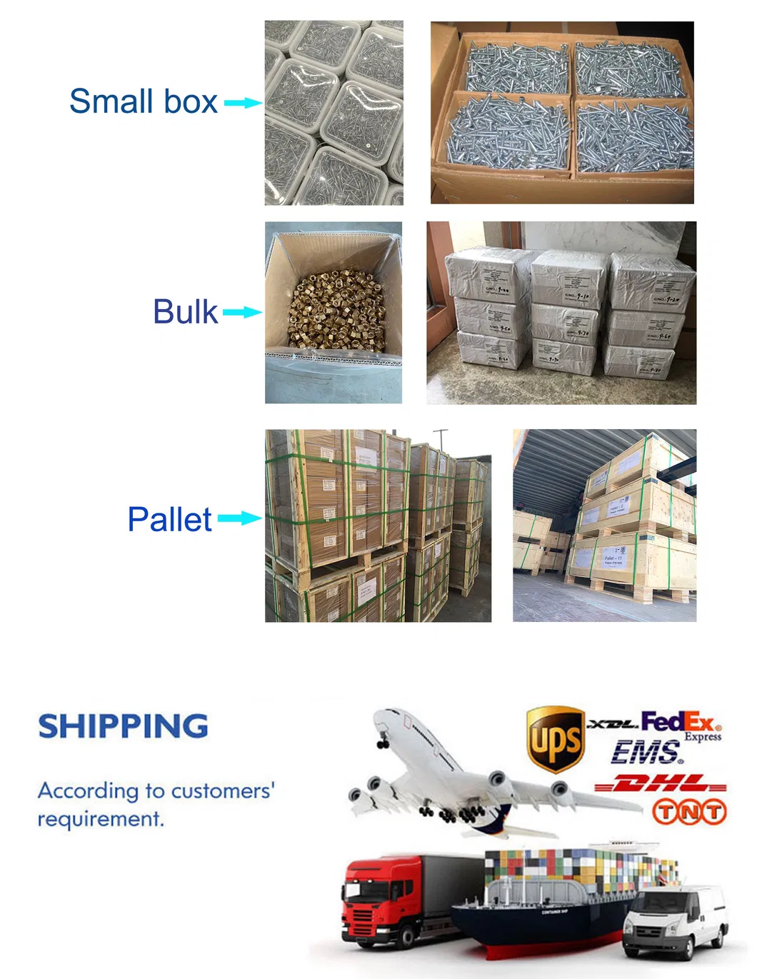 DIN316 Stainless Steel Wing Bolt