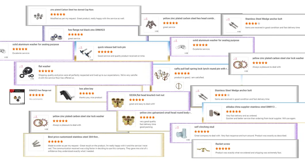 DIN316 Stainless Steel Wing Bolt
