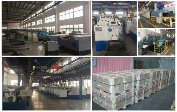 DIN603 Cup Head Square Neck Bolts with Large Head Ppap Level 3