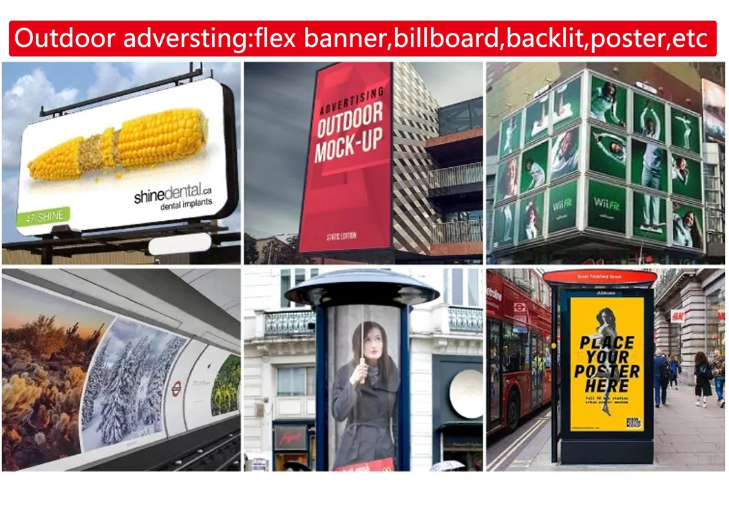 Eco Solvent Ink for Epson Dx4 Dx5 Dx7 Printhead Printing Ink