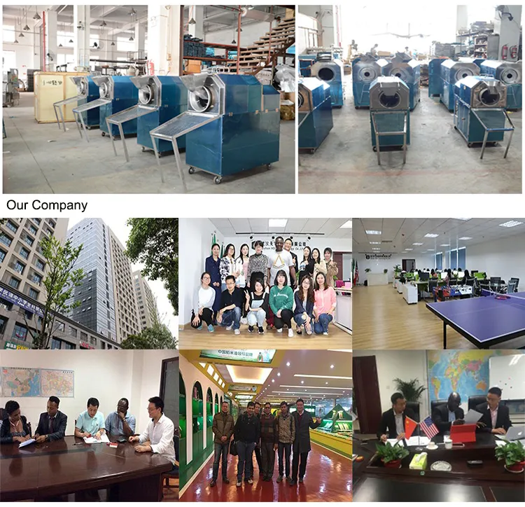 Electric Macadamia Nut Pine Nut Palm Kernel Peanut Roasting Machine Equipment Coffee Pumpkin Seed Peanut Dry Roaster