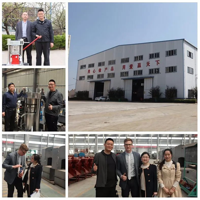 Energy-Saving Home Walnut Cacao Oil Mill Hydraulic Cocoa Sesame Oil Press Machine for Sale