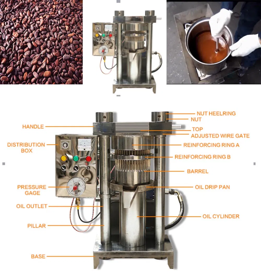 Energy-Saving Home Walnut Cacao Oil Mill Hydraulic Cocoa Sesame Oil Press Machine for Sale