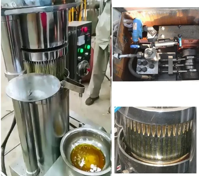 Energy-Saving Home Walnut Cacao Oil Mill Hydraulic Cocoa Sesame Oil Press Machine for Sale
