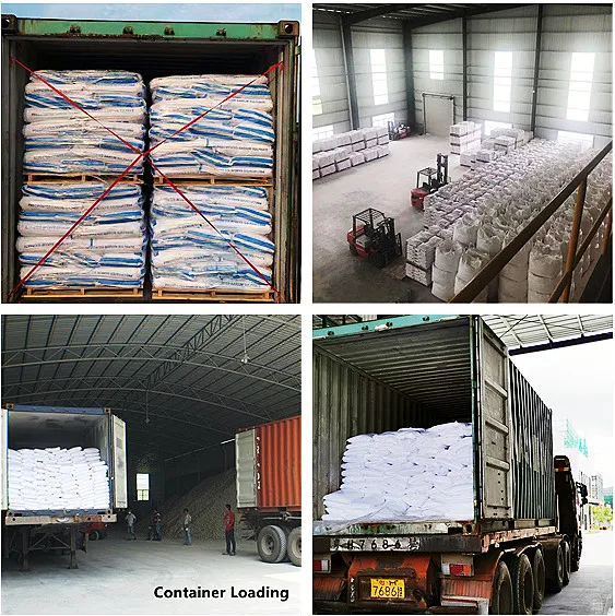 Factory Supplier Titanium Dioxide Powder Rutile CAS No 13463-67-7 Special for Paint Industry
