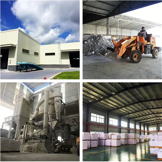 Factory Supplier Titanium Dioxide Powder Rutile CAS No 13463-67-7 Special for Paint Industry