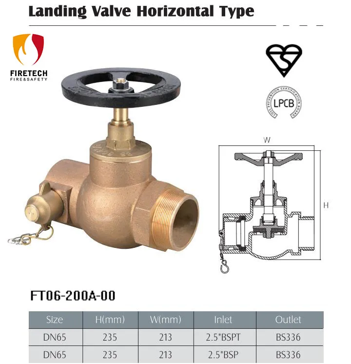 Fire Landing Valve Horizontal Type Screw Inlet with Bsi Kitemark Lpcb Approved FT06-200A Series