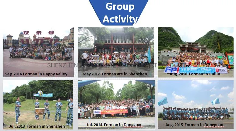 Fpic Elecreonic Auto Components OEM Automotive Spare Part