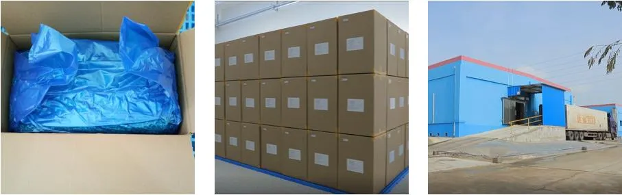 Freeze Dried Vegetables in Bulk Freeze Drying Dry Carrots