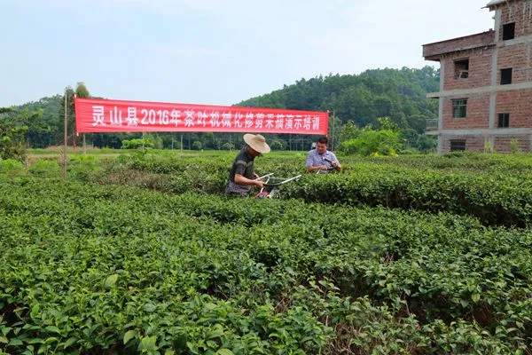 Future Trend of Tea Trimmer R3000 From Japanese Tea Garden Kawasaki Smr3