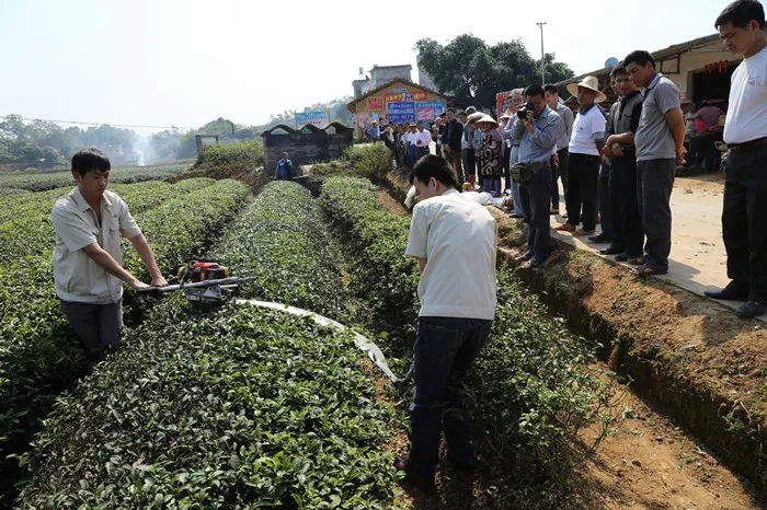 Future Trend of Tea Trimmer R3000 From Japanese Tea Garden Kawasaki Smr3