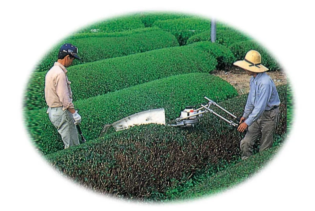 Future Trend of Tea Trimmer R3000 From Japanese Tea Garden Kawasaki Smr3