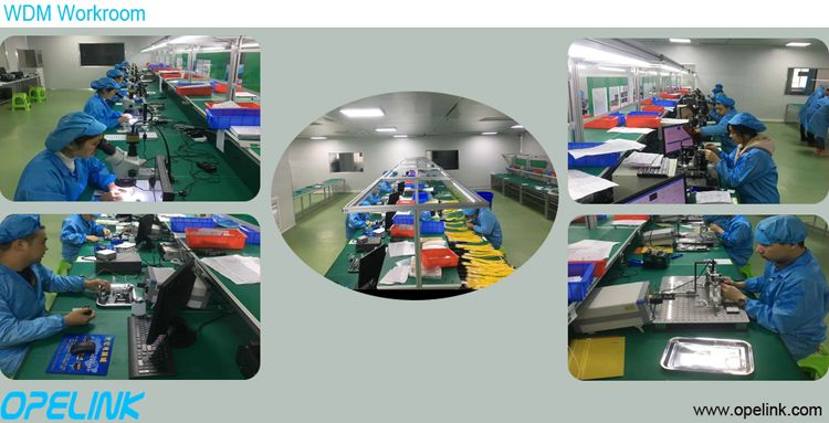 Fwdm Module, Customized Wavelength, 3ports Optical Fwdm with ABS Box Packaging