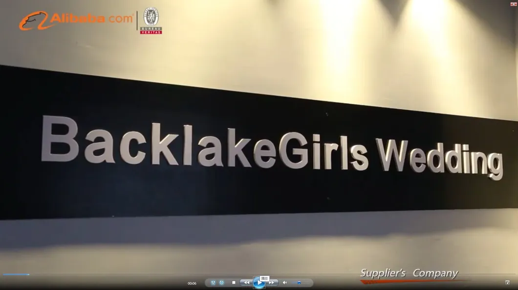 Highest Quality Luxury Sequin Beaded Sexy Designer Plus Size Bridal Dress Wedding Dresses >8kg