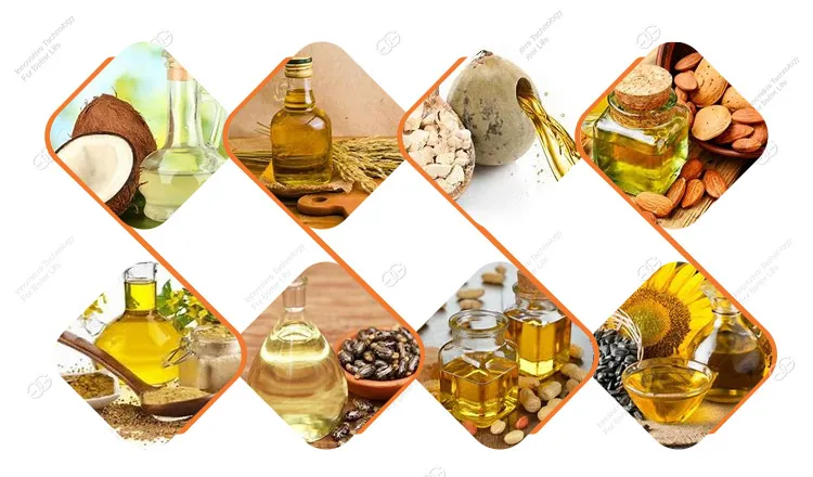 High Efficiency Cacao Pressing Machine Cocoa Butter Oil Making Machine