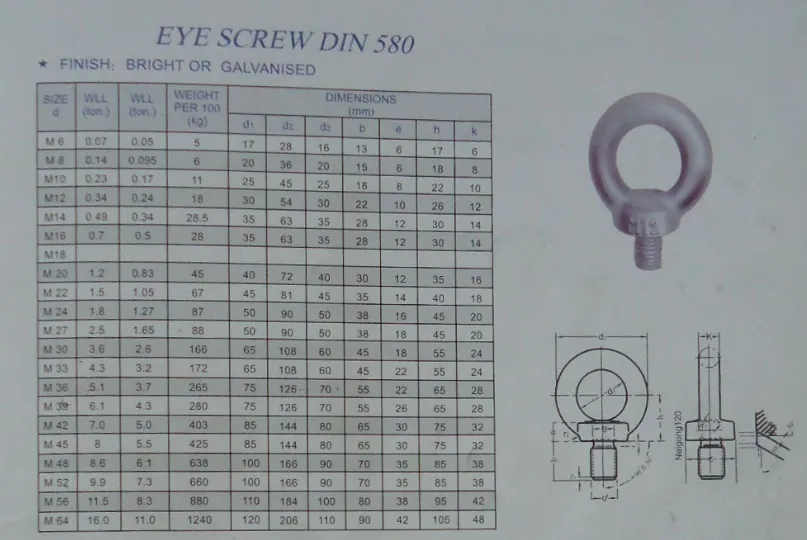 Hot Die Forged C15e DIN580 Eye Bolt in Size M72