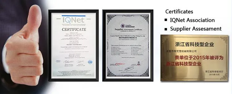 Hot Sale Zinc Steel Grease Fittings M10*1 45 Degree Auto Parts