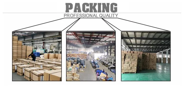 Hot Sale Zinc Steel Grease Fittings M10*1 45 Degree Auto Parts