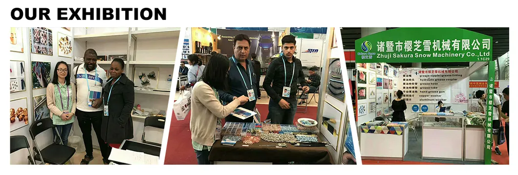 Hot Sell Grease Fitting M10X1 45 Degree Grease Nipple Assortment for Cars