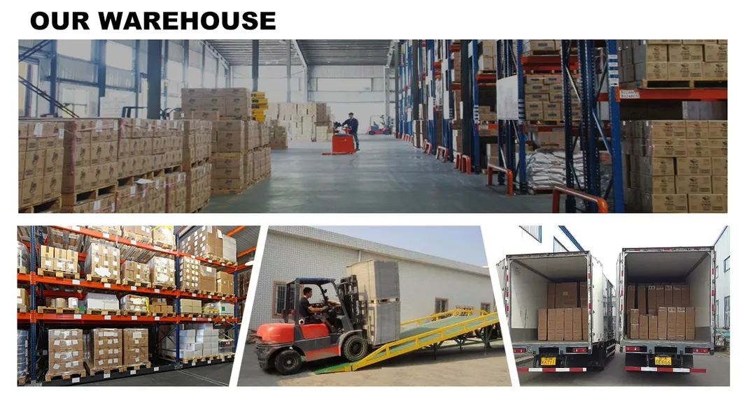 Hot Sell Grease Fitting M10X1 45 Degree Grease Nipple Assortment for Cars