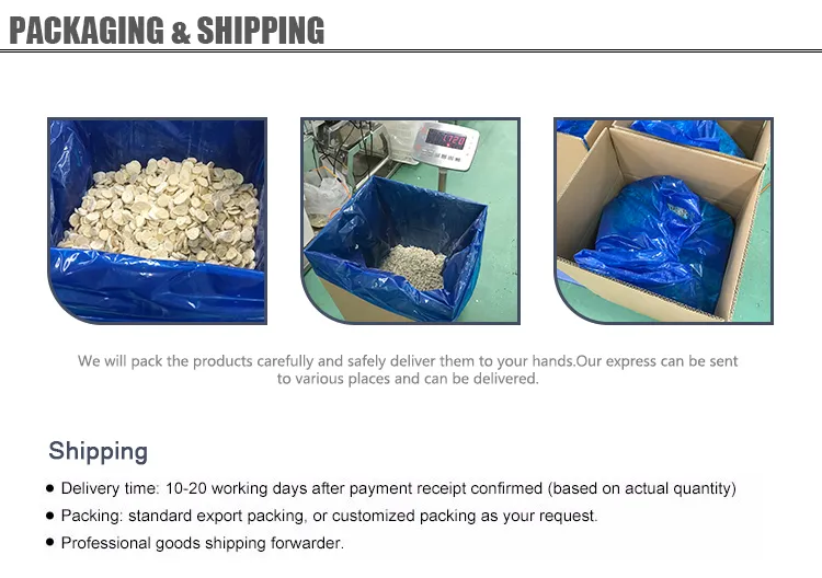 Hot Sell Vacuum Package Freeze Dried Strawberry Sliced