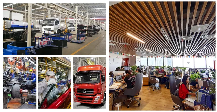 Dongfeng New Rich P11 Right-Hand Drive Pickup