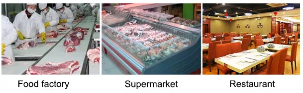 Industrial Heavy Duty Frozen Meat Beef Lamb Cutting Machine