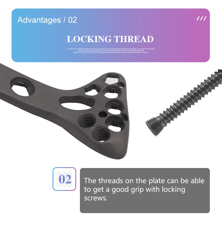 Large Fragment Bone Surgery Proximal Tibia Locking Plate for Bone Fracture Fixation