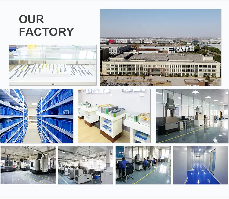 Large Fragment Bone Surgery Proximal Tibia Locking Plate for Bone Fracture Fixation