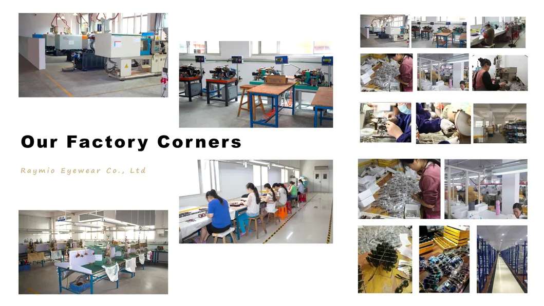 latest Optical Eye Glasses Frame Acetate Optic Eyewear