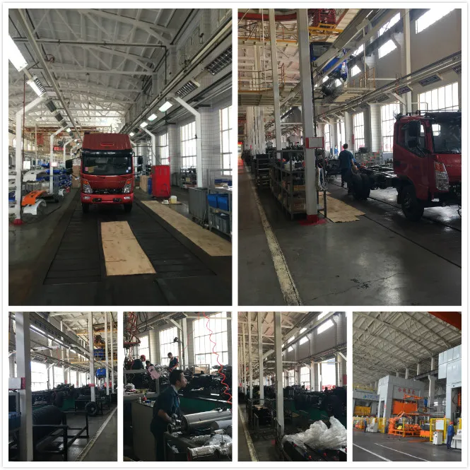 Light Duty Commercial Vehicle (LCV) /Tip/Tipping/Tipper Trucks