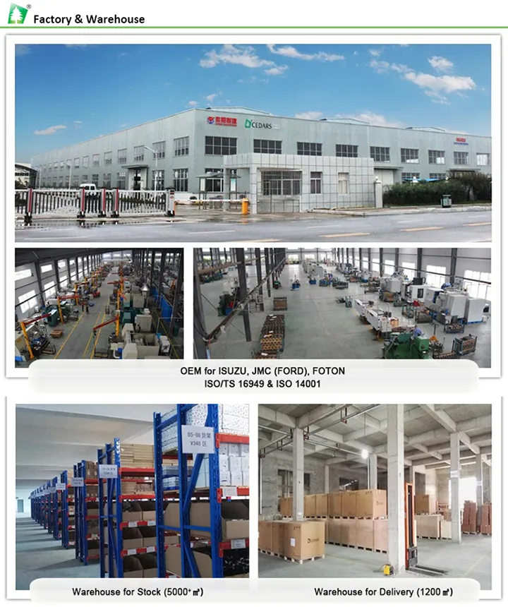 Lower Chain Guide 8c1q 6m256 Ba for Ford Transit Engine